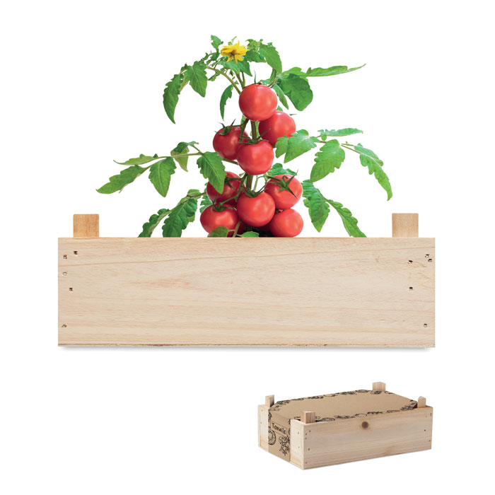 TOMATO Tomatenkweekset houten kratje