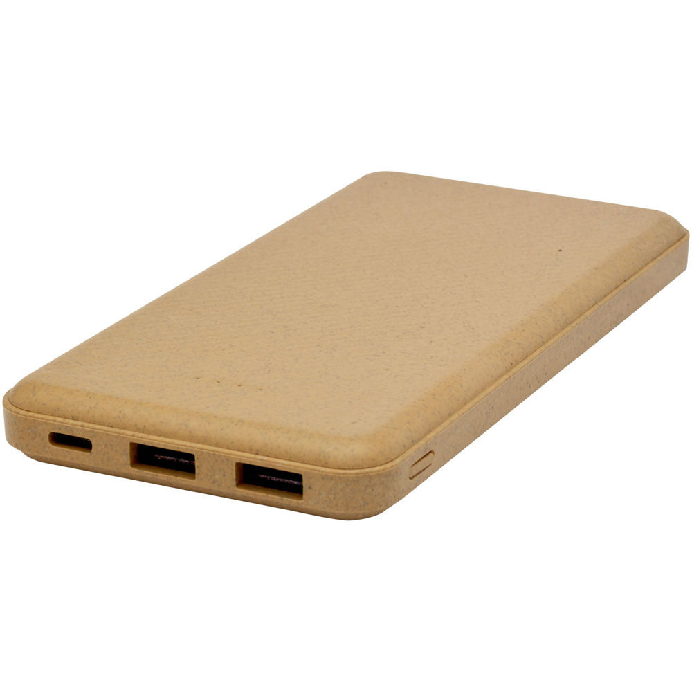 Eco 10000 mAh powerbank