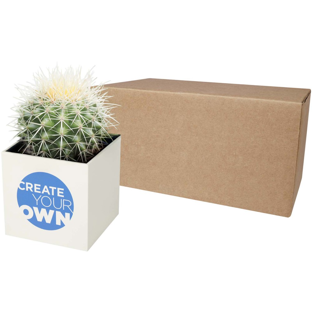 Hey Pots aluminium bloempot, cactus
