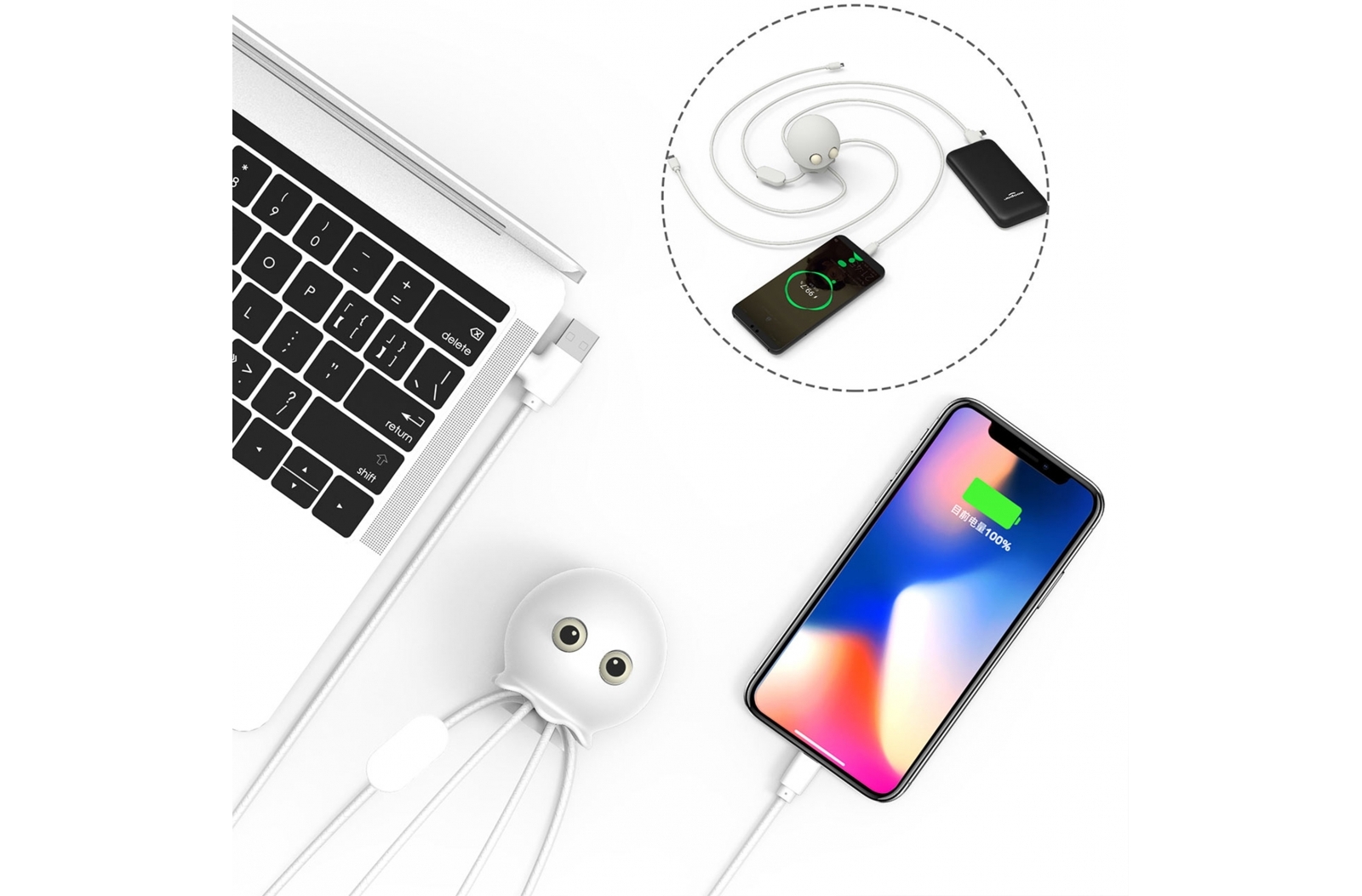 2065 | Xoopar Jelly XL Cable