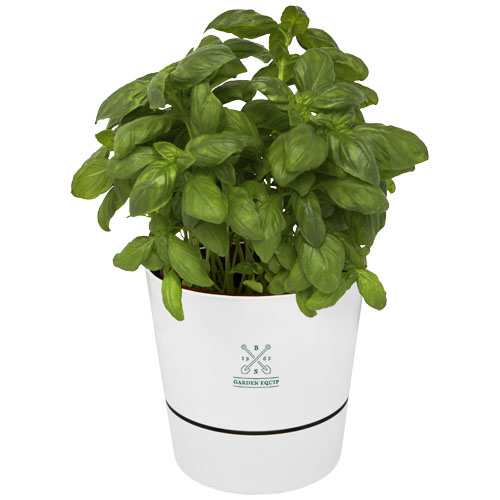 Herbs enkele keukenpot