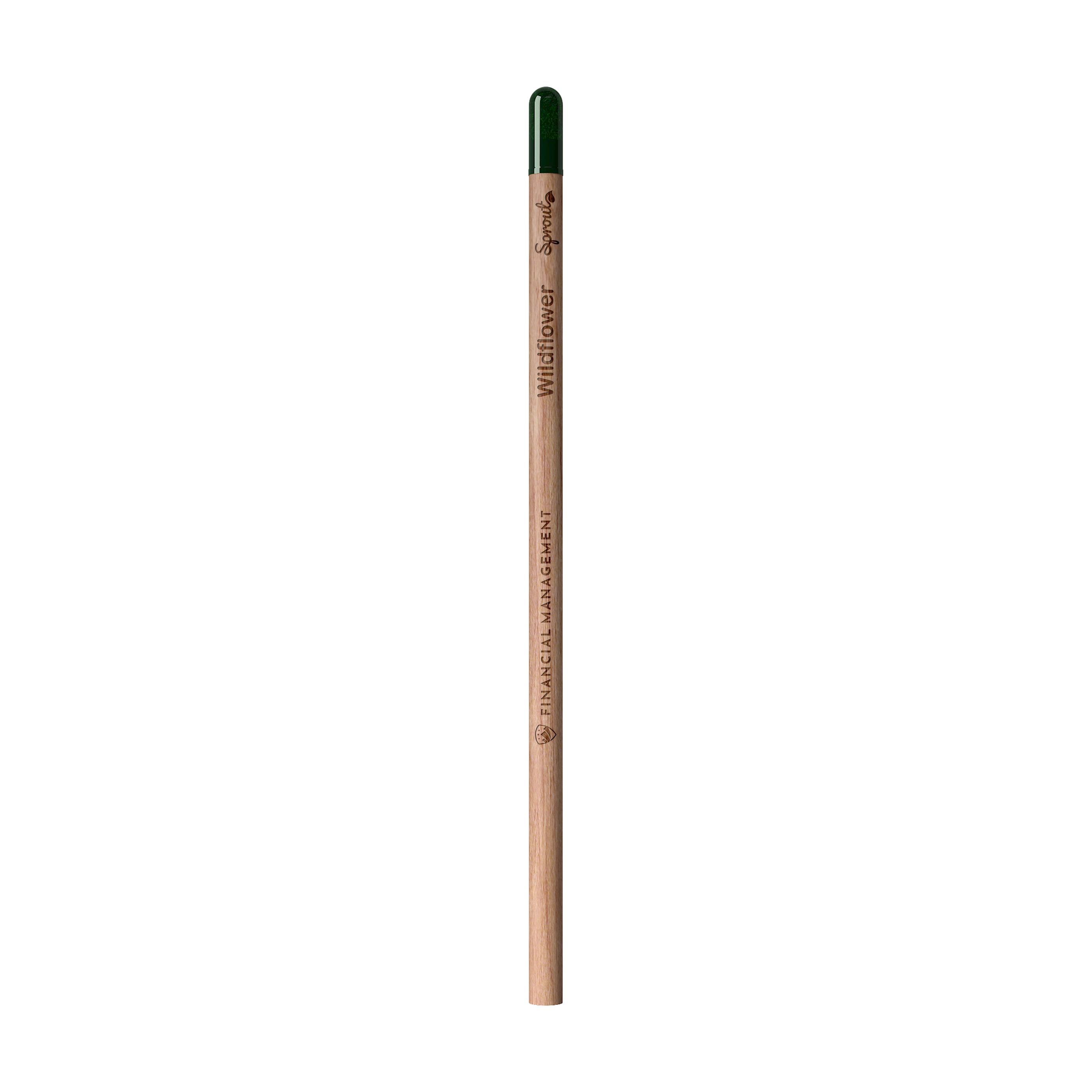 Sproutworld Set: Unsharpened Pencil and Header Card ongeslepen potlood