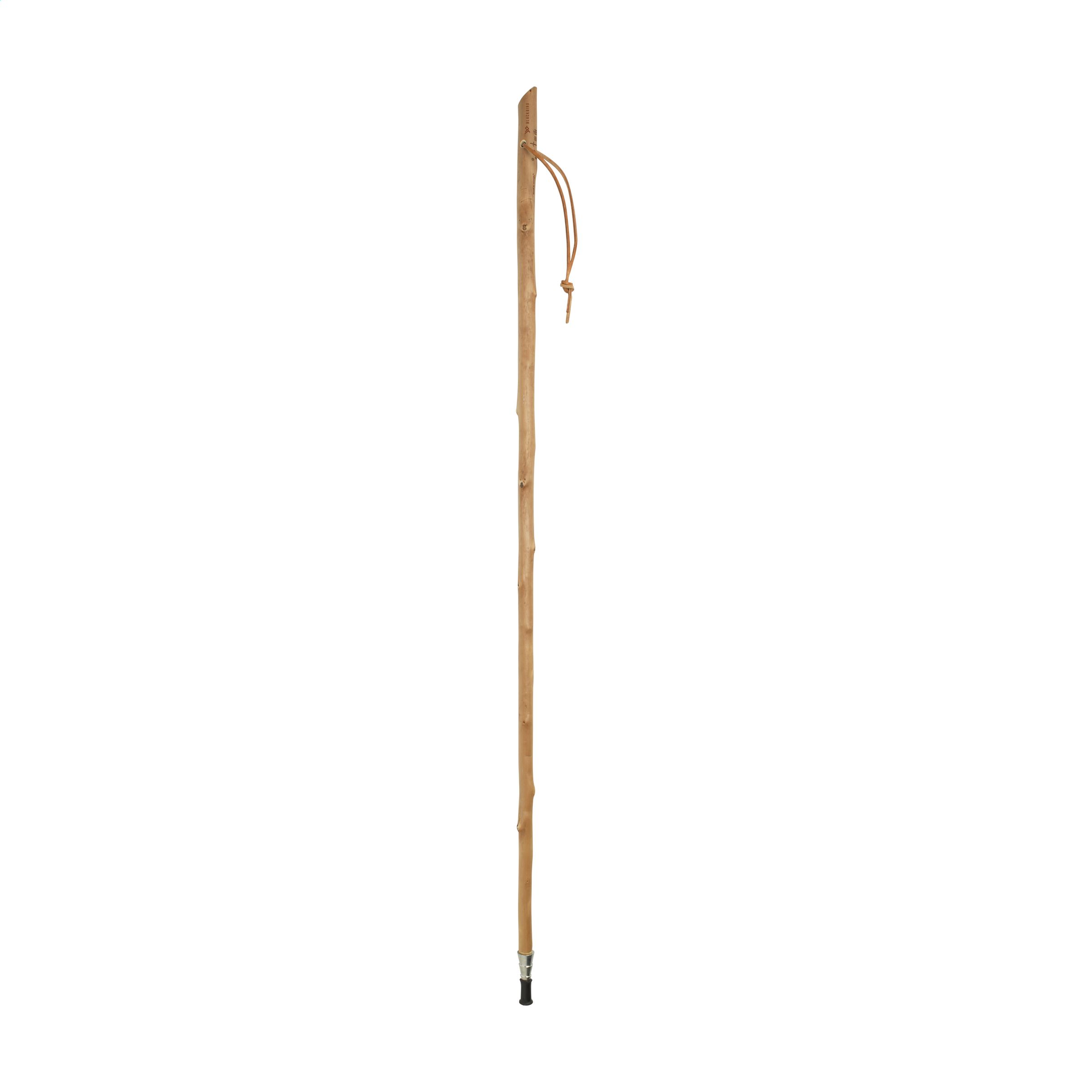 CleanWalk Walkingstick wandelstok